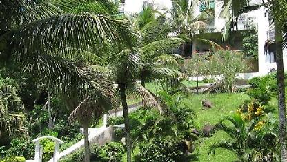 Apartamento para alugar em Ubatuba