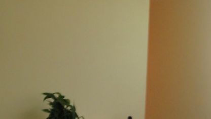 Apartamento para alugar em Serra