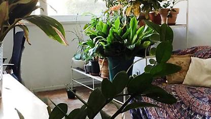 Apartamento para alugar em Rio De Janeiro