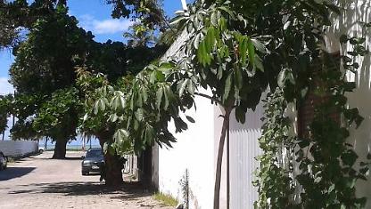 Kitchenette para alugar em João Pessoa