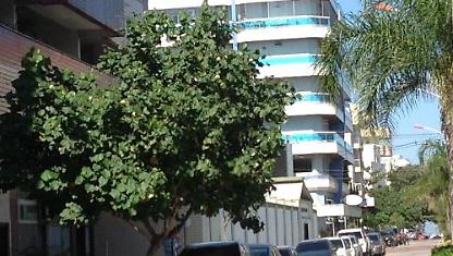 Apartamento para alugar em Cabo Frio